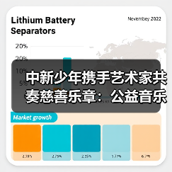 中新少年携手艺术家共奏慈善乐章：公益音乐会传递文化之美