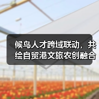 候鸟人才跨域联动,共绘自贸港文旅农创融合发展新图景(图4) 候鸟人才跨域联动,共绘自贸港文旅农创融合发展新图景(图4)