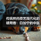 传统煎药技艺现代化的破局者:白加宁的中医装备创业之路(图1) 传统煎药技艺现代化的破局者:白加宁的中医装备创业之路(图1)