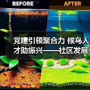 党建引领聚合力 候鸟人才助振兴——社区发展如何激发乡村活力？（图4）