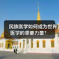民族医学如何成为世界医学的重要力量？（图2）