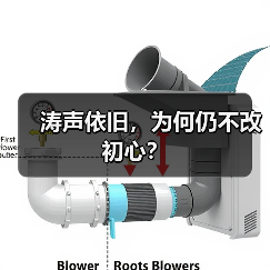 涛声依旧，为何仍不改初心？（图3）