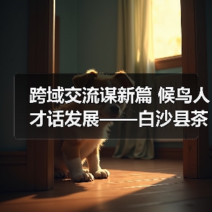 跨域交流谋新篇 候鸟人才话发展——白沙县茶乡候鸟人才工作站赴澄迈学习交(图3) 跨域交流谋新篇 候鸟人才话发展——白沙县茶乡候鸟人才工作站赴澄迈学习交(图3)