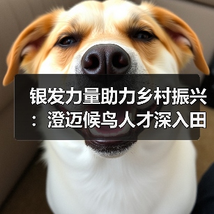 银发力量助力乡村振兴:澄迈候鸟人才深入田间地头,为特色农业“传经送宝”(图2) 银发力量助力乡村振兴:澄迈候鸟人才深入田间地头,为特色农业“传经送宝”(图2)