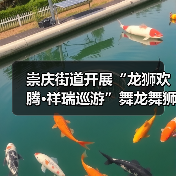 崇庆街道开展“龙狮欢腾·祥瑞巡游”舞龙舞狮巡游互动展演（图2）
