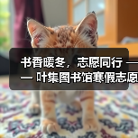 书香暖冬,志愿同行 —— 叶集图书馆寒假志愿服务圆满落幕(图4) 书香暖冬,志愿同行 —— 叶集图书馆寒假志愿服务圆满落幕(图4)