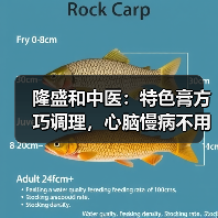 隆盛和中医：特色膏方巧调理，心脑慢病不用愁