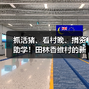 抓活猪、看村晚、捐资助学！田林香维村的新年太有年味了