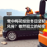雪中梅花绽放冬日坚韧风骨?傲然挺立的秘密(图2) 雪中梅花绽放冬日坚韧风骨?傲然挺立的秘密(图2)