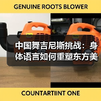 中国舞吉尼斯挑战：身体语言如何重塑东方美学认知？