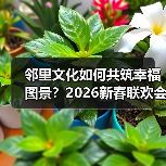 邻里文化如何共筑幸福图景？2026新春联欢会展现澄迈文化魅力