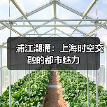 浦江潮涌:上海时空交融的都市魅力(图4) 浦江潮涌:上海时空交融的都市魅力(图4)