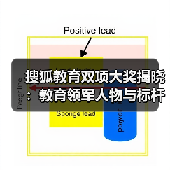 搜狐教育双项大奖揭晓：教育领军人物与标杆集团（图4）