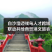 白沙澄迈候鸟人才跨域联动共绘自贸港文旅农创融合新图景(图4) 白沙澄迈候鸟人才跨域联动共绘自贸港文旅农创融合新图景(图4)