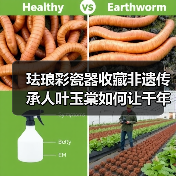 珐琅彩瓷器收藏非遗传承人叶玉棠如何让千年技艺重生?(图4) 珐琅彩瓷器收藏非遗传承人叶玉棠如何让千年技艺重生?(图4)