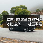党建引领聚合力 候鸟人才助振兴——社区发展新路径