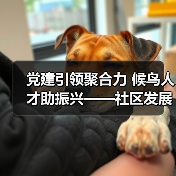党建引领聚合力 候鸟人才助振兴——社区发展新路径（图4）