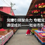党建引领聚合力 专题党课促成长——如皋市东皋幼儿园党支部开展主题教育活动
