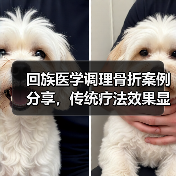 回族医学调理骨折案例分享，传统疗法效果显著（图4）