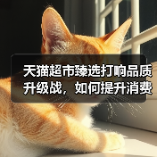 天猫超市臻选打响品质升级战，如何提升消费者体验？（图2）