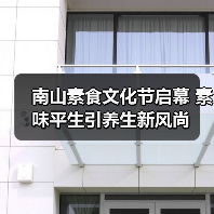 南山素食文化节启幕 素味平生引养生新风尚（图2）