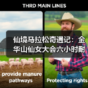仙境马拉松奇遇记:金华山仙女大会六小时耐力赛(图2) 仙境马拉松奇遇记:金华山仙女大会六小时耐力赛(图2)
