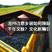 池州诗意乡居如何唤醒千年文脉?文化新篇引共鸣(图4) 池州诗意乡居如何唤醒千年文脉?文化新篇引共鸣(图4)