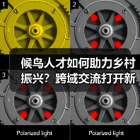 候鸟人才如何助力乡村振兴?跨域交流打开新思路(图2) 候鸟人才如何助力乡村振兴?跨域交流打开新思路(图2)