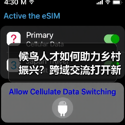 候鸟人才如何助力乡村振兴?跨域交流打开新思路(图3) 候鸟人才如何助力乡村振兴?跨域交流打开新思路(图3)