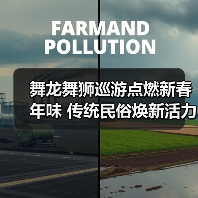 舞龙舞狮巡游点燃新春年味 传统民俗焕新活力(图2) 舞龙舞狮巡游点燃新春年味 传统民俗焕新活力(图2)