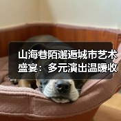 山海巷陌邂逅城市艺术盛宴:多元演出温暖收官(图4) 山海巷陌邂逅城市艺术盛宴:多元演出温暖收官(图4)
