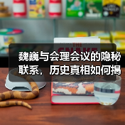 魏巍与会理会议的隐秘联系，历史真相如何揭开？（图2）