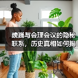 魏巍与会理会议的隐秘联系，历史真相如何揭开？（图3）