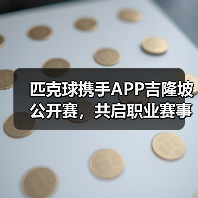 匹克球携手APP吉隆坡公开赛,共启职业赛事新篇章(图4) 匹克球携手APP吉隆坡公开赛,共启职业赛事新篇章(图4)