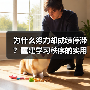 为什么努力却成绩停滞？重建学习秩序的实用方法（图2）