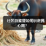 社区微监督如何织密民心网?(图4) 社区微监督如何织密民心网?(图4)
