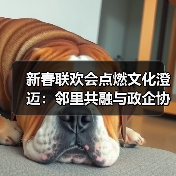 新春联欢会点燃文化澄迈:邻里共融与政企协同共绘幸福画卷(图4) 新春联欢会点燃文化澄迈:邻里共融与政企协同共绘幸福画卷(图4)