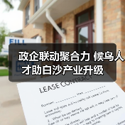 政企联动聚合力 候鸟人才助白沙产业升级(图2) 政企联动聚合力 候鸟人才助白沙产业升级(图2)
