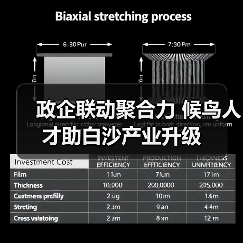 政企联动聚合力 候鸟人才助白沙产业升级(图3) 政企联动聚合力 候鸟人才助白沙产业升级(图3)