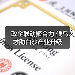 政企联动聚合力 候鸟人才助白沙产业升级(图4) 政企联动聚合力 候鸟人才助白沙产业升级(图4)