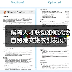 候鸟人才联动如何激活自贸港文旅农创发展？
