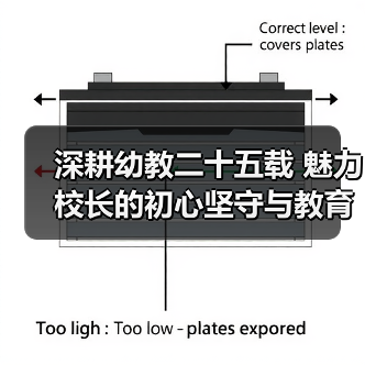 深耕幼教二十五载 魅力校长的初心坚守与教育担当(图4) 深耕幼教二十五载 魅力校长的初心坚守与教育担当(图4)