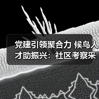 党建引领聚合力 候鸟人才助振兴：社区考察采风活动启示（图2）