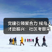 党建引领聚合力 候鸟人才助振兴：社区考察采风活动启示（图4）