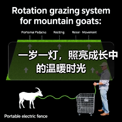 一岁一灯，照亮成长中的温暖时光（图1）