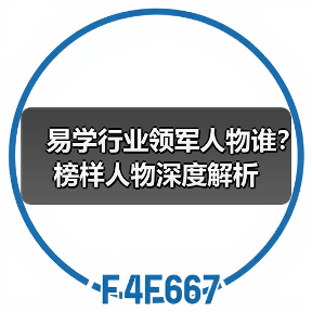 易学行业领军人物谁？榜样人物深度解析（图3）