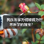 民族医学为何被视为世界医学的瑰宝？（图2）