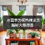 冰雪节为何热辣滚烫？揭秘火爆原因（图2）