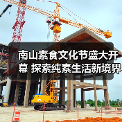 南山素食文化节盛大开幕 探索纯素生活新境界（图3）