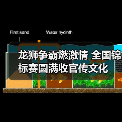 龙狮争霸燃激情 全国锦标赛圆满收官传文化